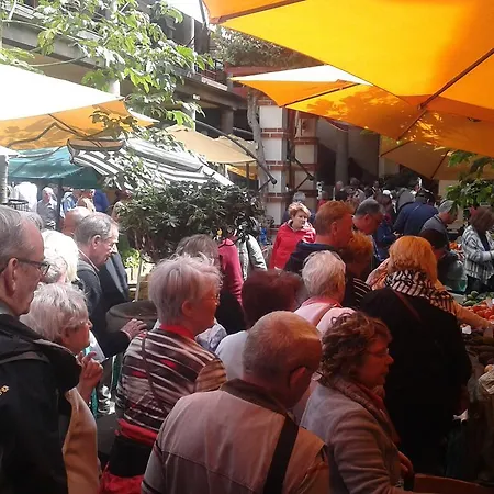 בית הארחה Madeira Downtown *