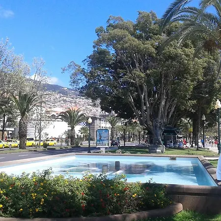 Madeira Downtown *